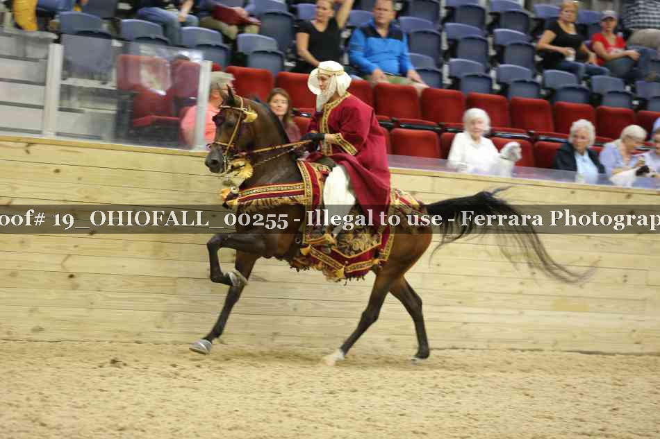 Proof 19_OHIOFALL_00255