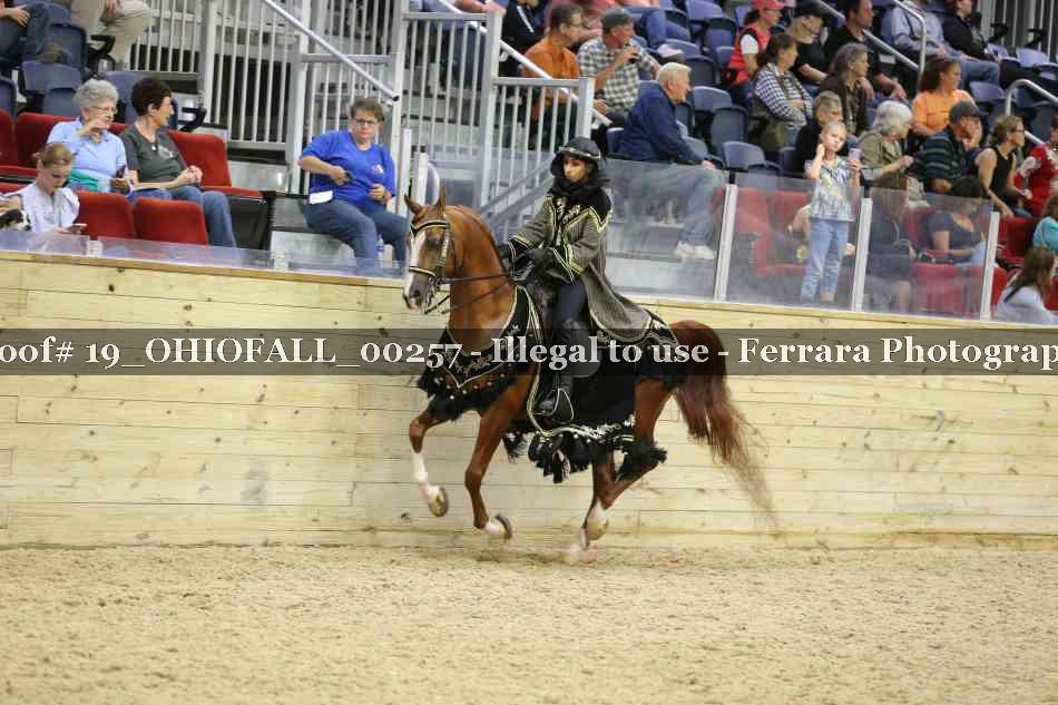 Proof 19_OHIOFALL_00257