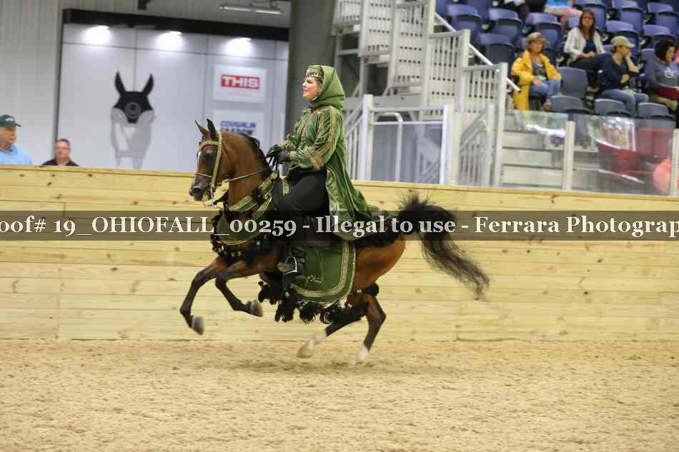 Proof 19_OHIOFALL_00259