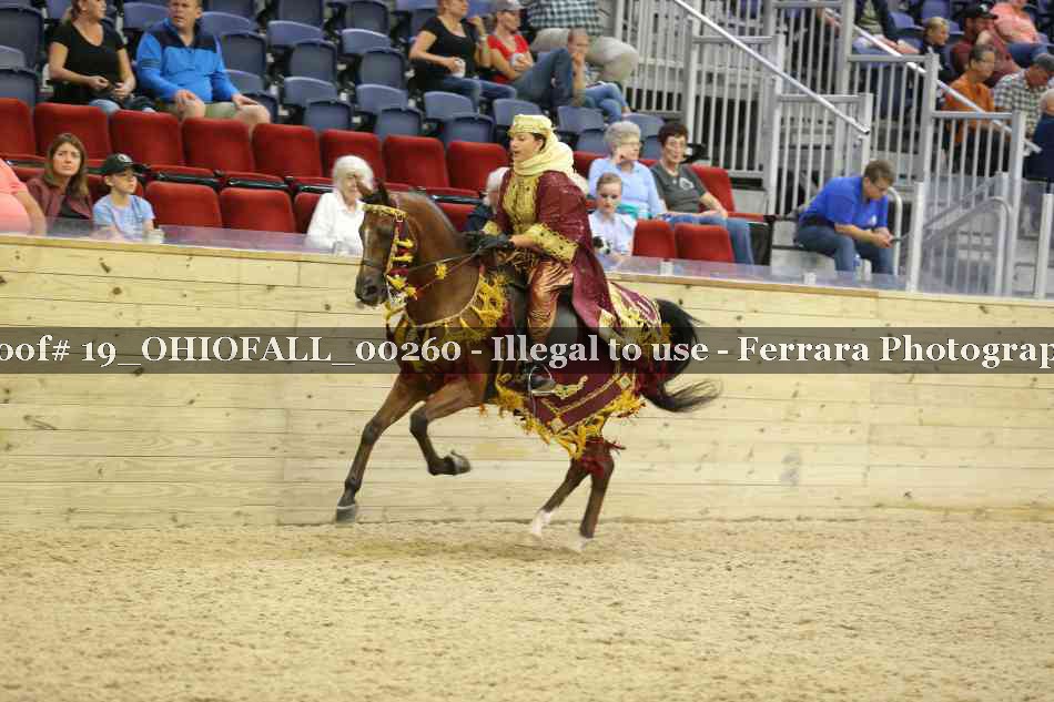 Proof 19_OHIOFALL_00260