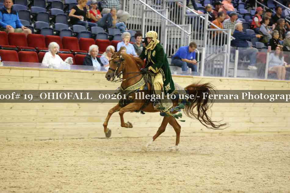 Proof 19_OHIOFALL_00261
