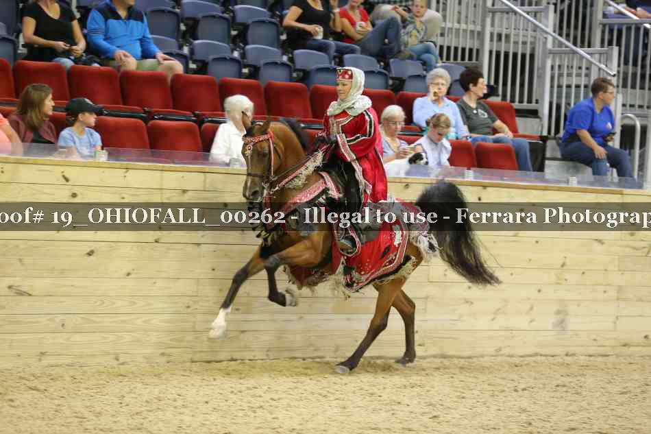 Proof 19_OHIOFALL_00262