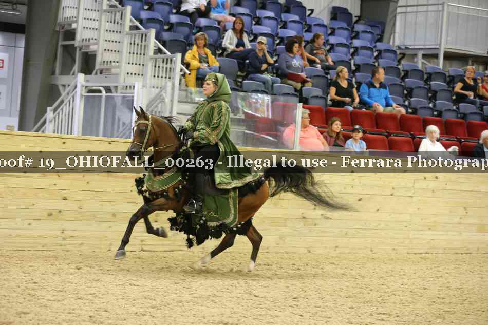 Proof 19_OHIOFALL_00263