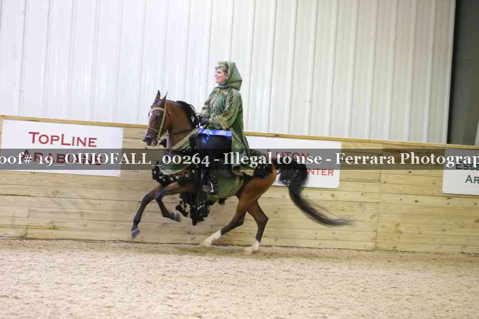 Proof 19_OHIOFALL_00264