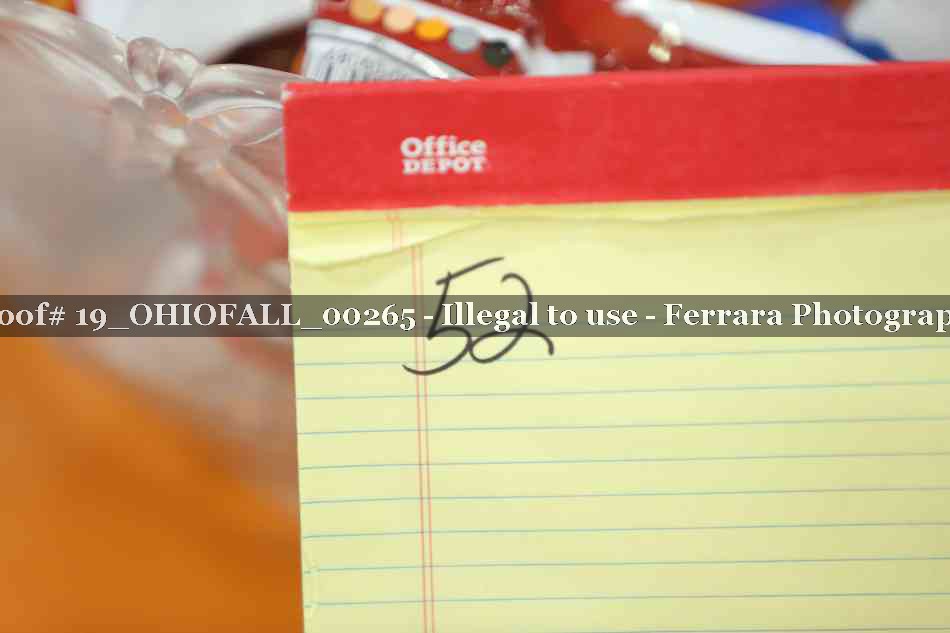 Proof 19_OHIOFALL_00265
