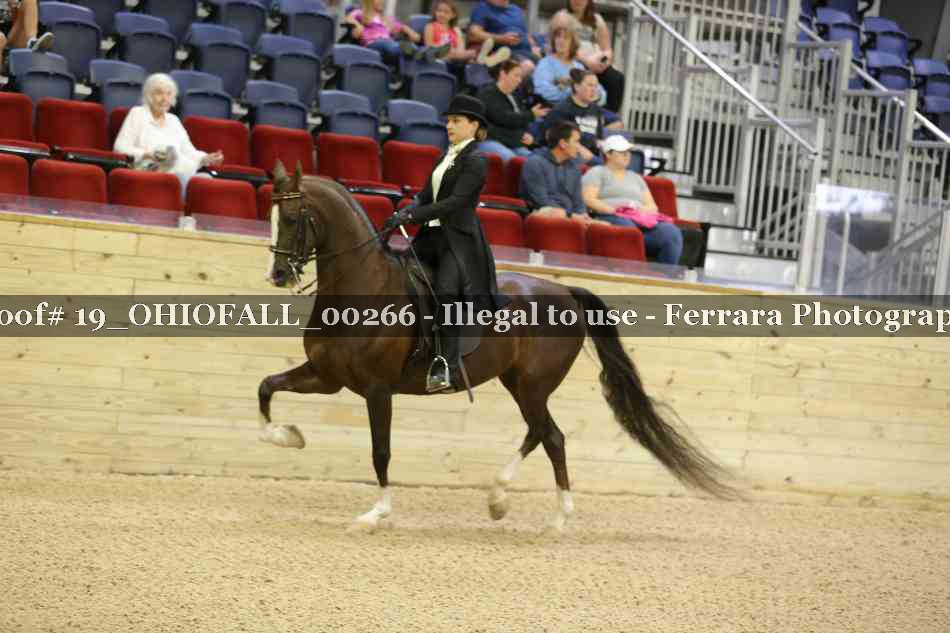 Proof 19_OHIOFALL_00266