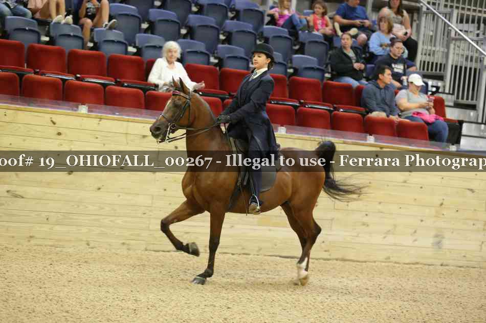 Proof 19_OHIOFALL_00267