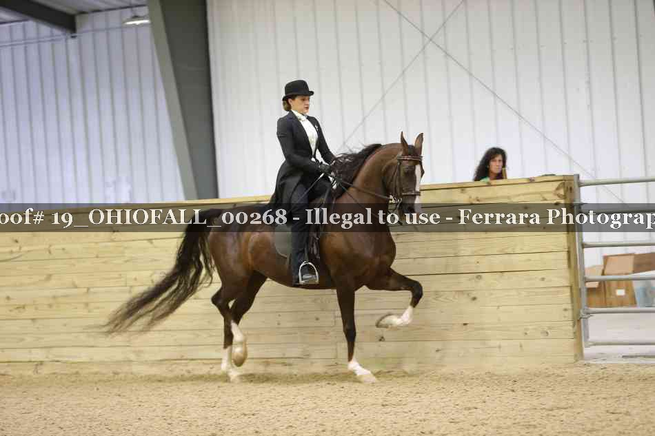 Proof 19_OHIOFALL_00268