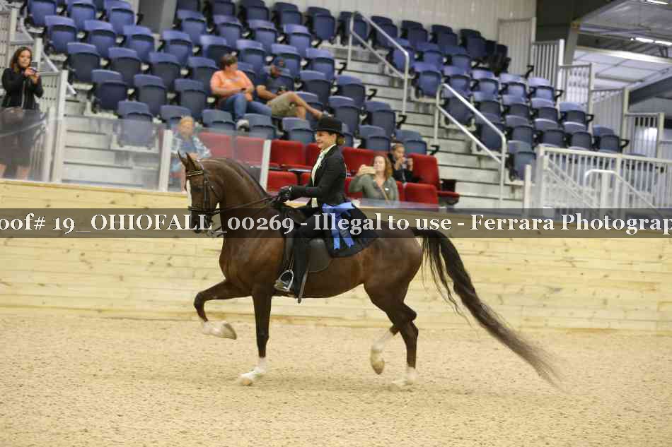 Proof 19_OHIOFALL_00269