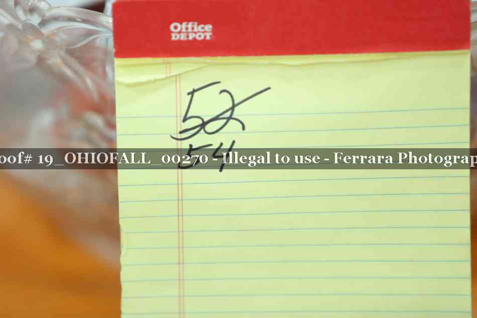 Proof 19_OHIOFALL_00270