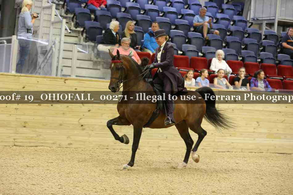 Proof 19_OHIOFALL_00271