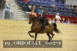 19_OHIOFALL_00271 proof