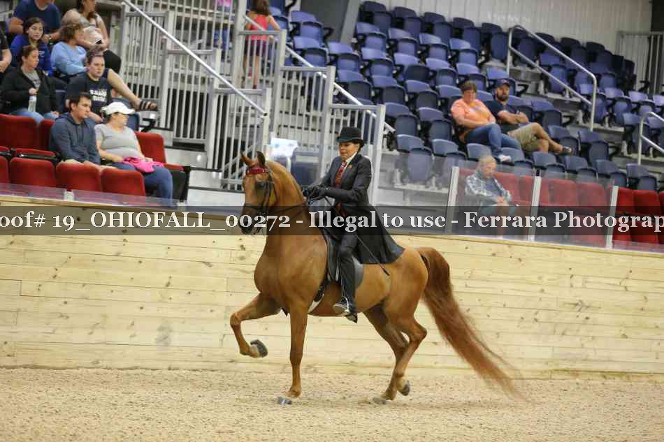 Proof 19_OHIOFALL_00272