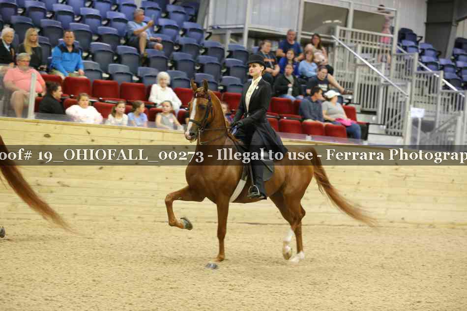 Proof 19_OHIOFALL_00273