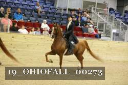 19_OHIOFALL_00273 proof