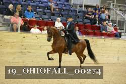 19_OHIOFALL_00274 proof