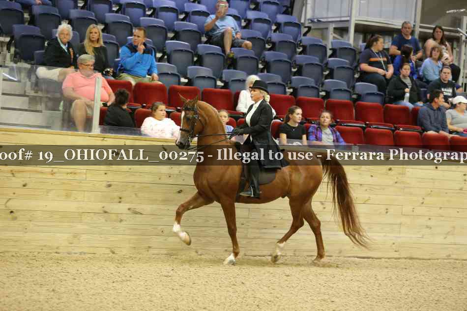 Proof 19_OHIOFALL_00275