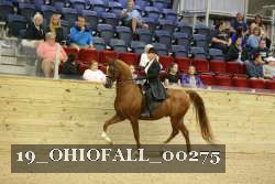 19_OHIOFALL_00275 proof