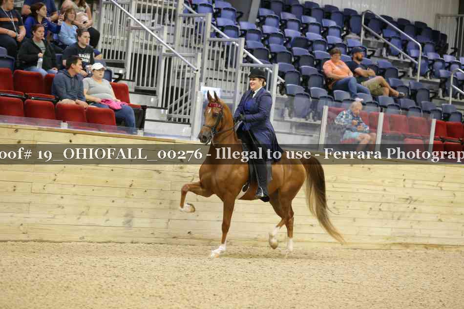 Proof 19_OHIOFALL_00276