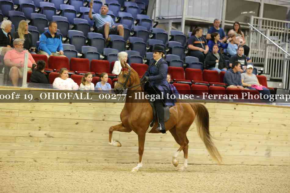 Proof 19_OHIOFALL_00277