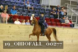 19_OHIOFALL_00277 proof