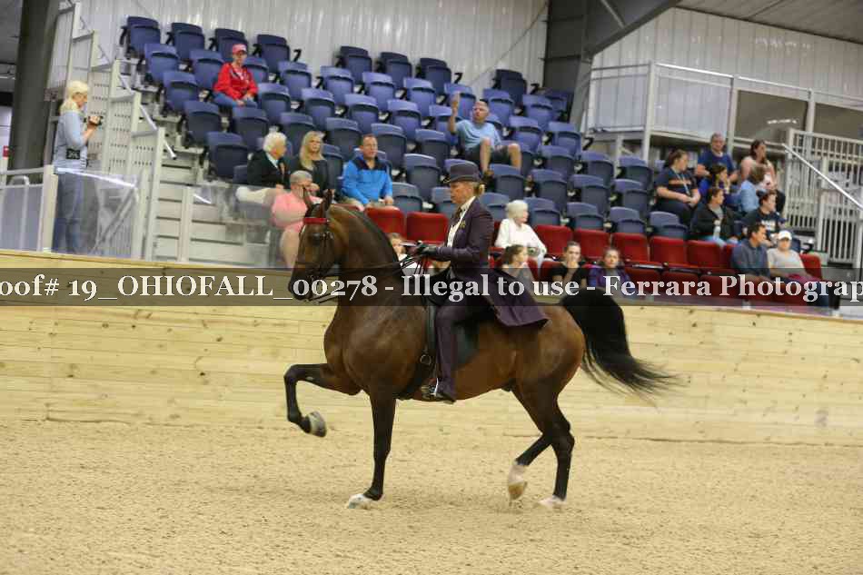 Proof 19_OHIOFALL_00278