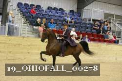 19_OHIOFALL_00278 proof