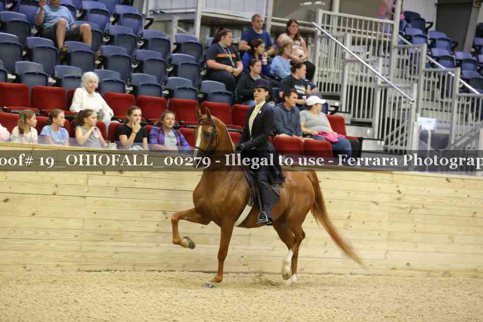 Proof 19_OHIOFALL_00279