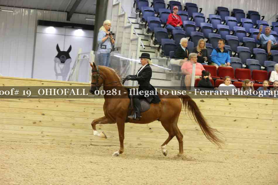 Proof 19_OHIOFALL_00281