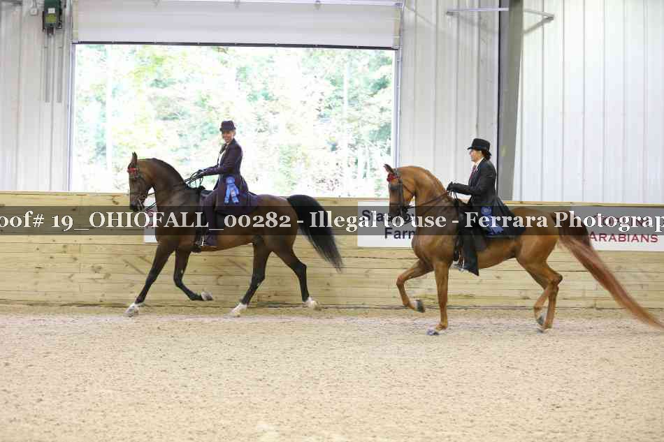 Proof 19_OHIOFALL_00282