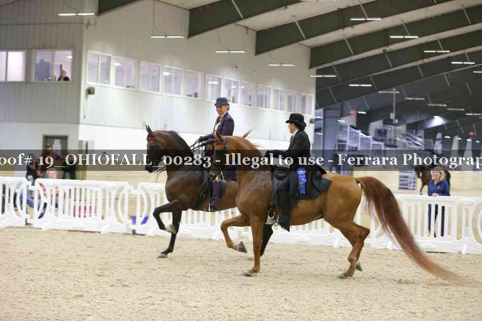 Proof 19_OHIOFALL_00283