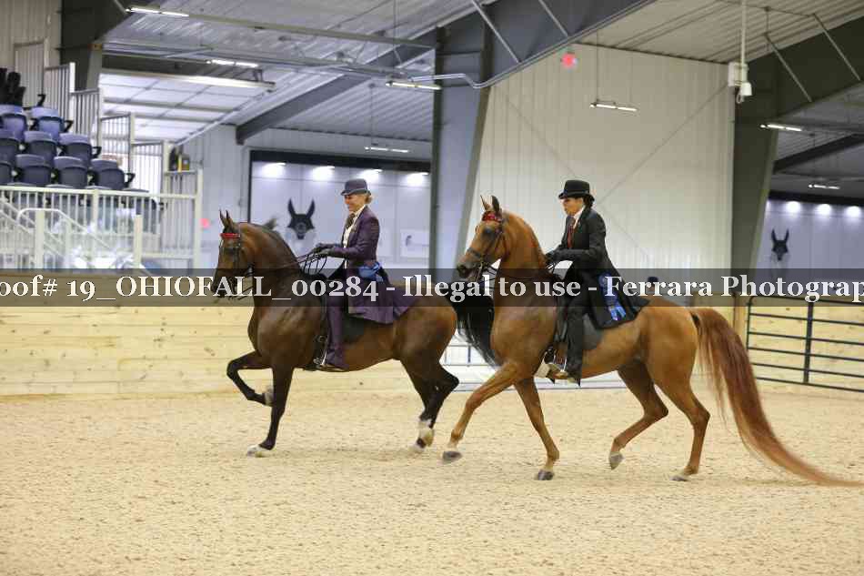 Proof 19_OHIOFALL_00284