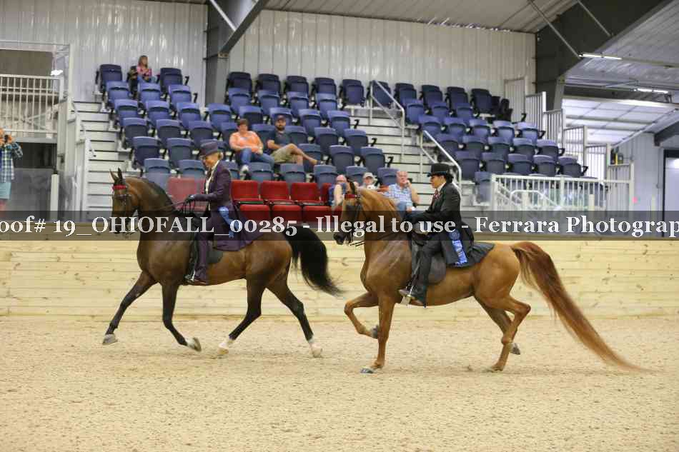 Proof 19_OHIOFALL_00285