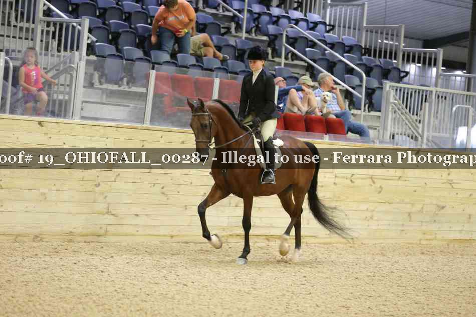 Proof 19_OHIOFALL_00287