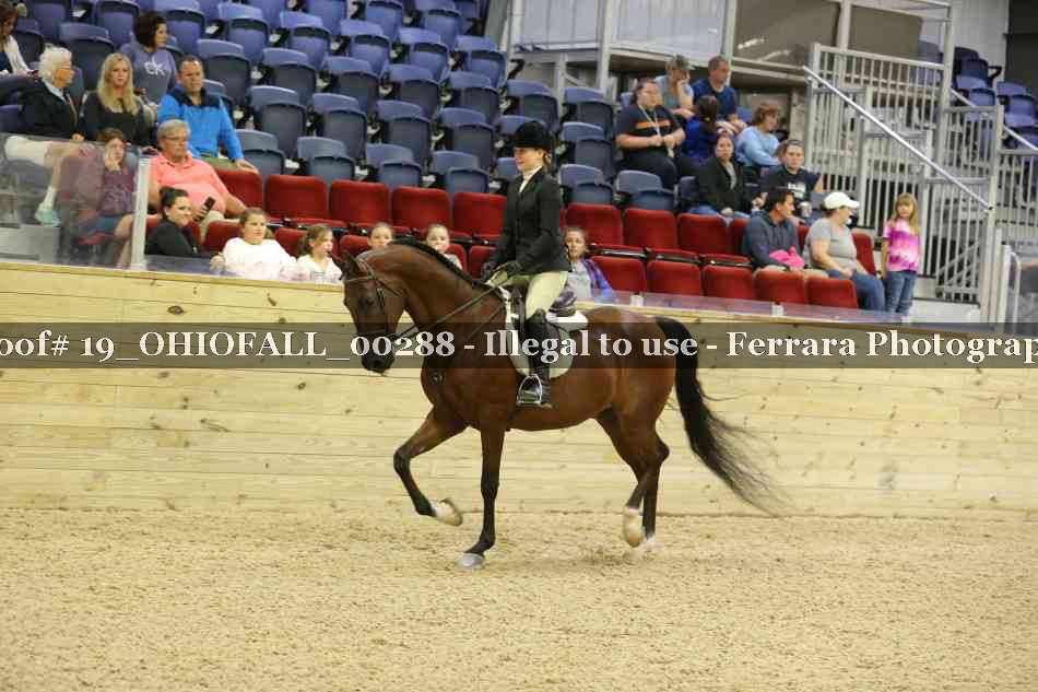 Proof 19_OHIOFALL_00288