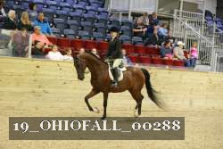 19_OHIOFALL_00288 proof