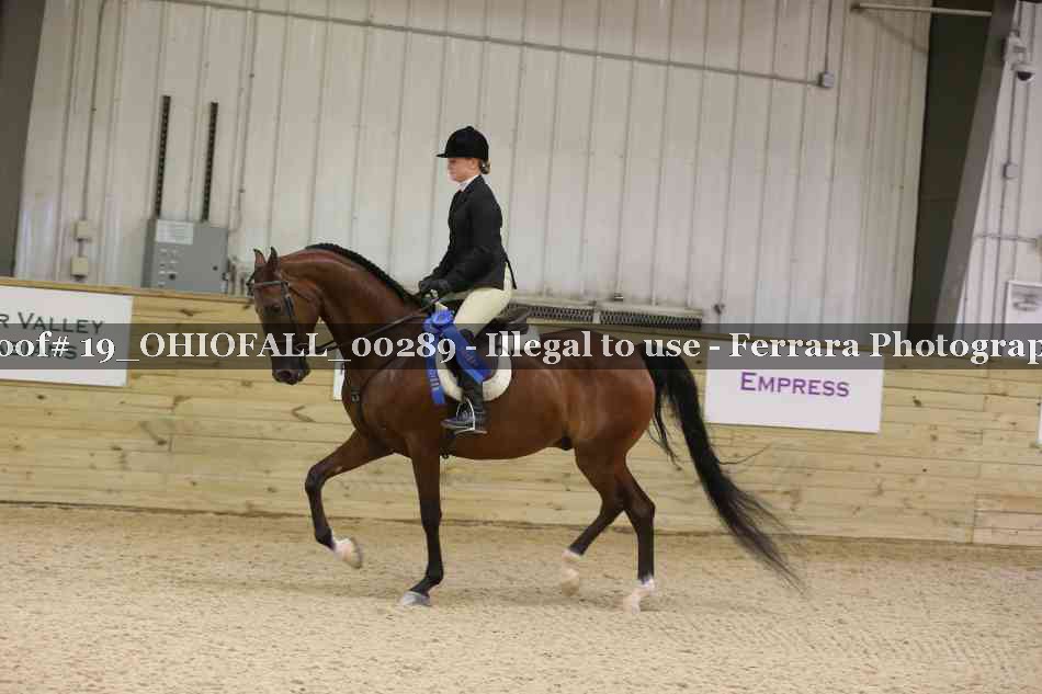 Proof 19_OHIOFALL_00289