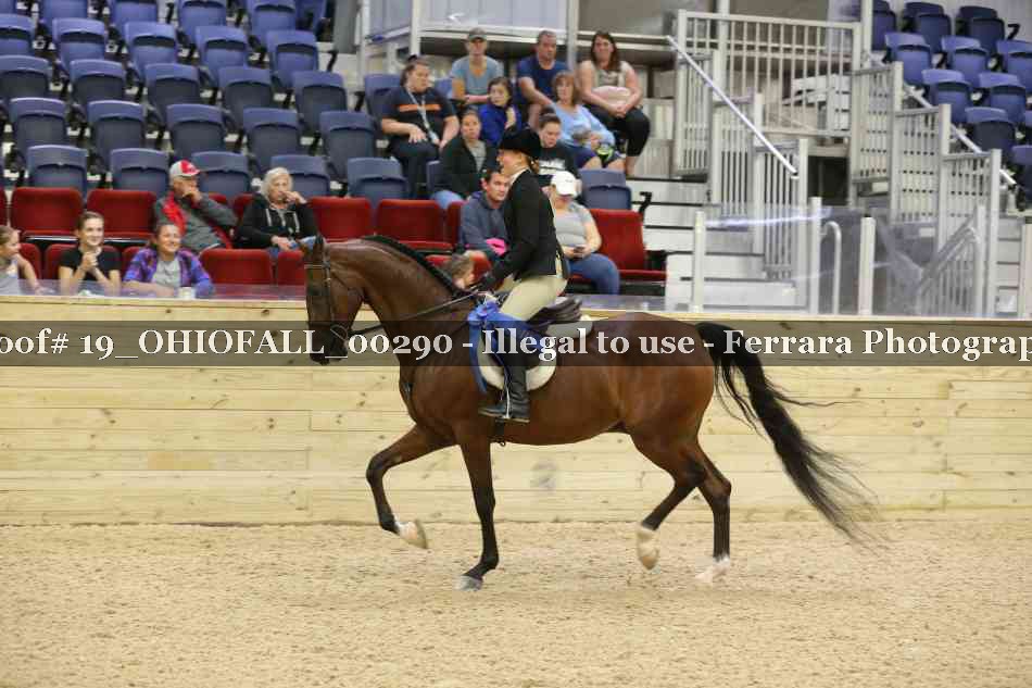 Proof 19_OHIOFALL_00290