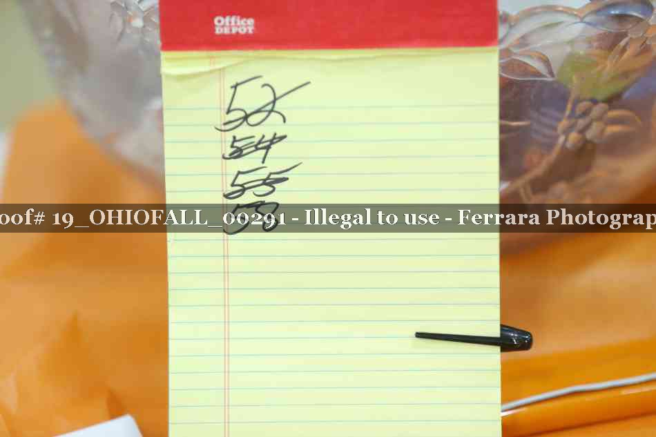 Proof 19_OHIOFALL_00291