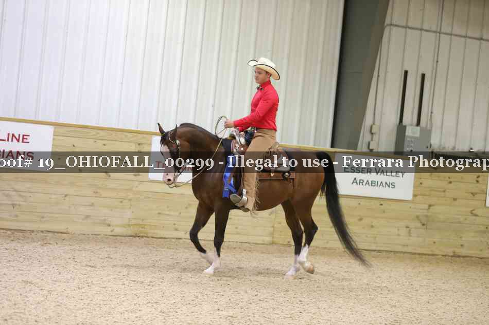 Proof 19_OHIOFALL_00299