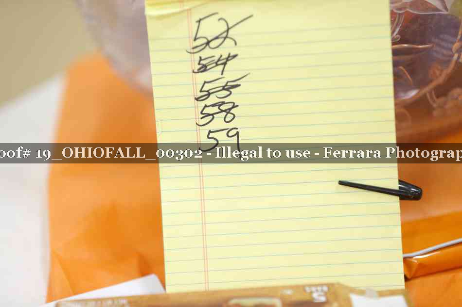 Proof 19_OHIOFALL_00302