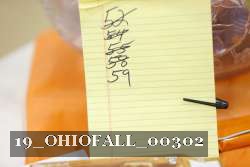 19_OHIOFALL_00302 proof