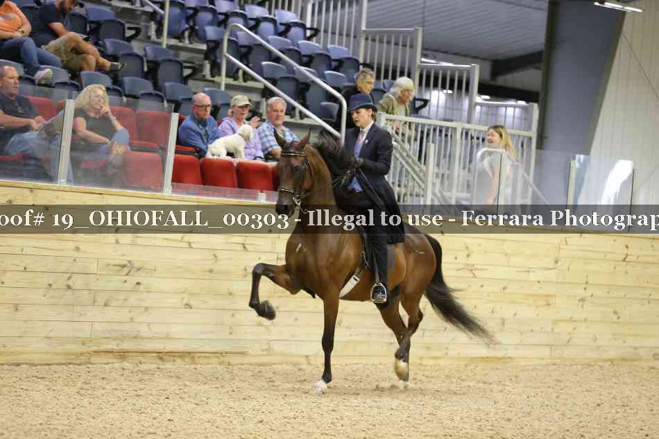 Proof 19_OHIOFALL_00303