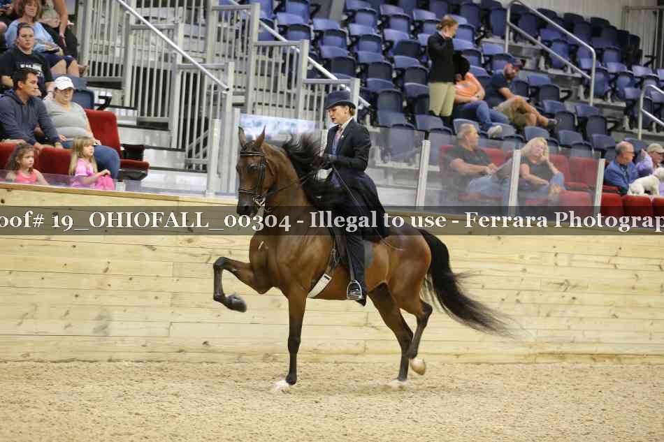 Proof 19_OHIOFALL_00304
