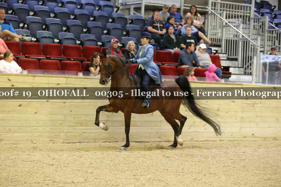 Proof 19_OHIOFALL_00305