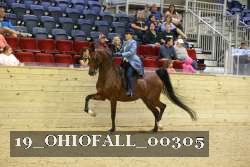 19_OHIOFALL_00305 proof