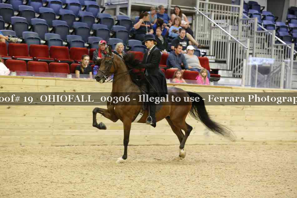 Proof 19_OHIOFALL_00306