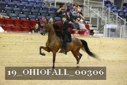 19_OHIOFALL_00306 proof