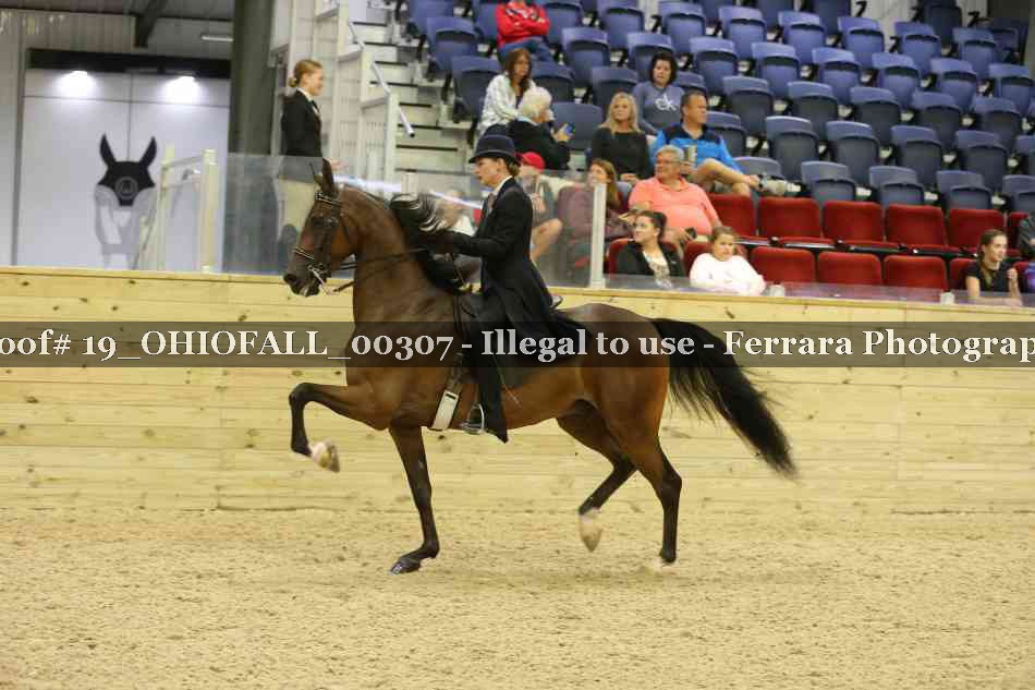 Proof 19_OHIOFALL_00307