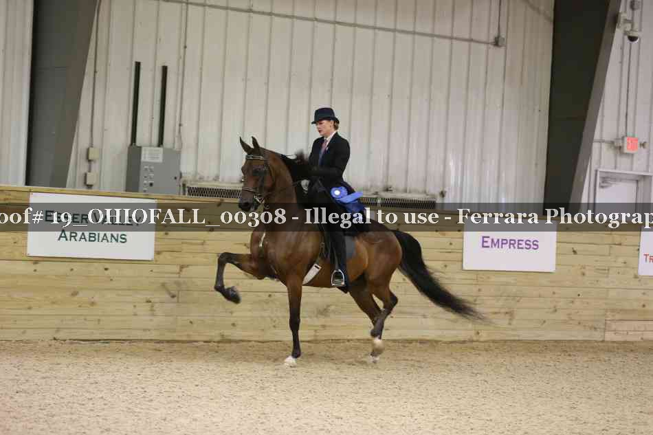 Proof 19_OHIOFALL_00308